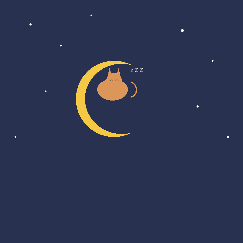 在月牙上安睡的猫咪