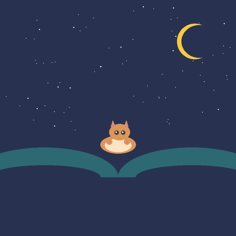 仰望星空的猫咪